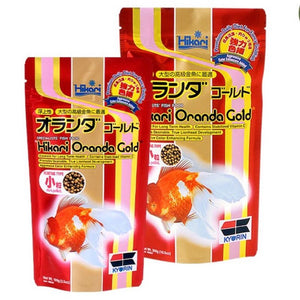 Hikari Oranda Gold