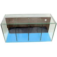4 Bay Fighter / Betta Fish Tank With Back Filter(Air Pump Not incuded)