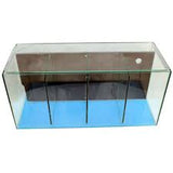 4 Bay Fighter / Betta Fish Tank With Back Filter(Air Pump Not incuded)