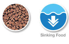 Hikari Sinking Carnivore Pellets