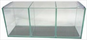 3 Bay Betta Fish tank