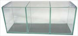 3 Bay Betta Fish tank